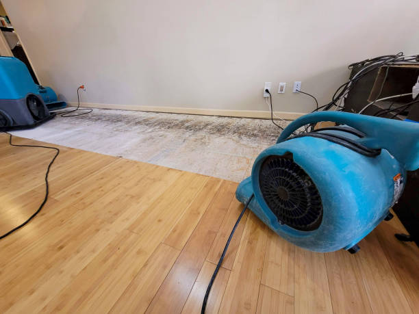 Professional Sewage Cleanup technician working in Southport, IN